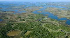 Homosassa